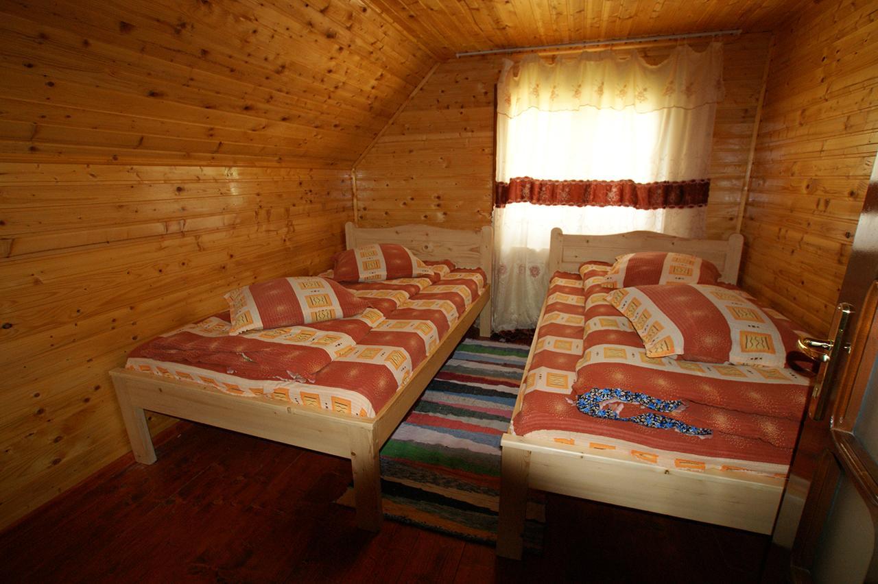 Cabana Ioana Munună Екстериор снимка